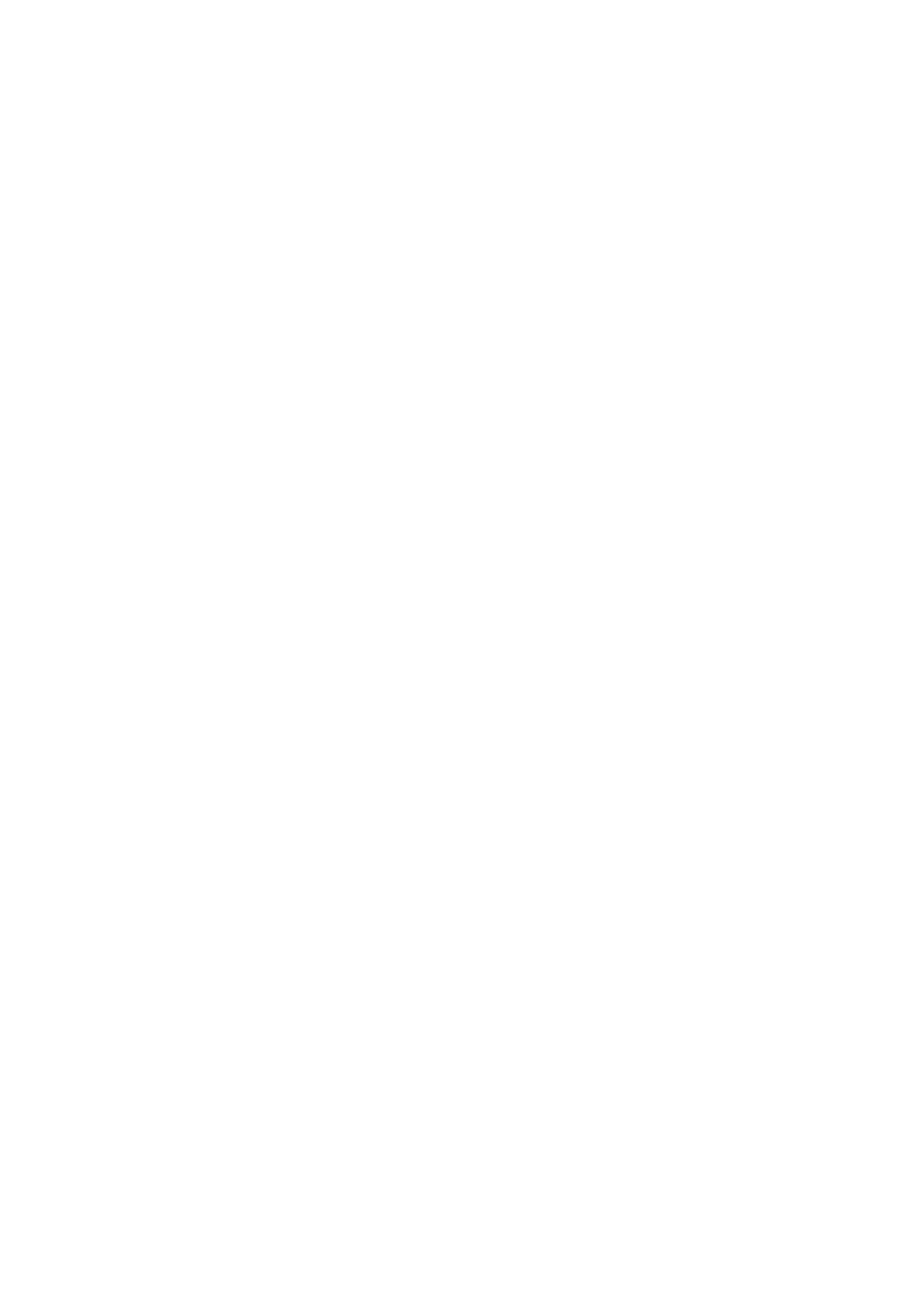 Noorsitara Footer Logo